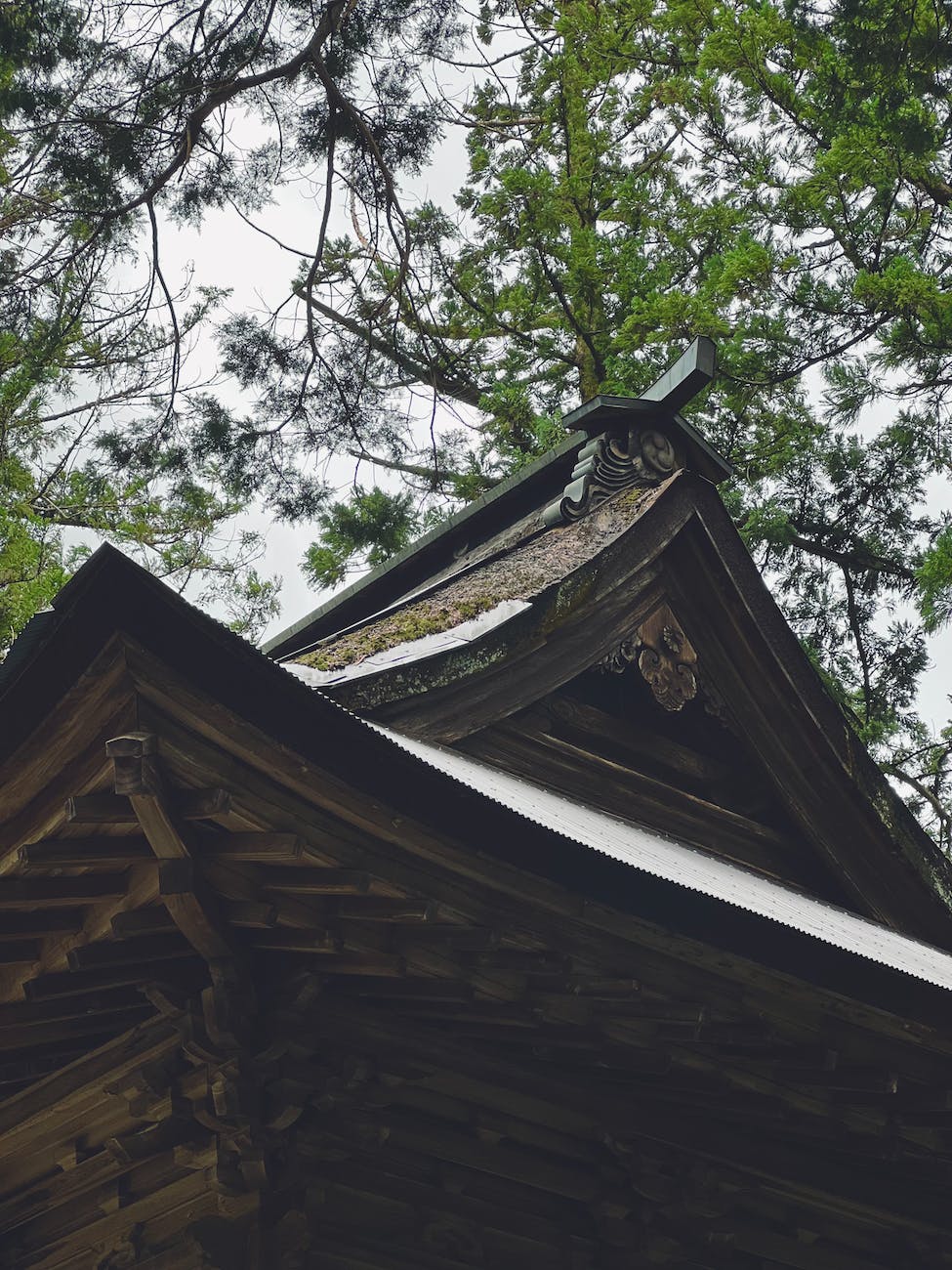 brown wooden roof of a temple